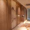 Hotel room door and door frame, hotel furniture customization